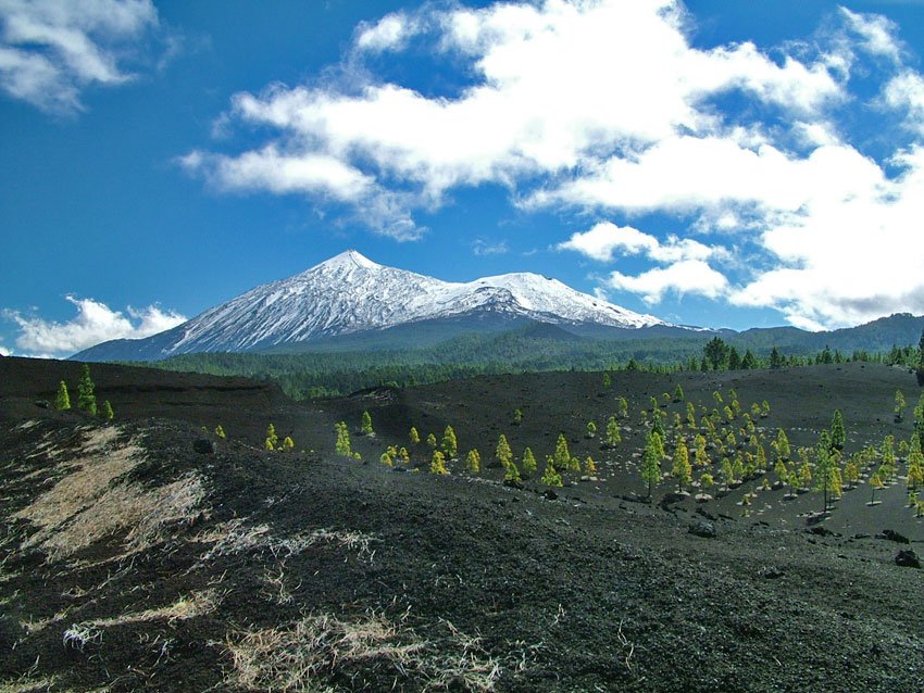 Wandern auf Teneriffa - Durch den Teide-Nationalpark und die Masca Schlucht