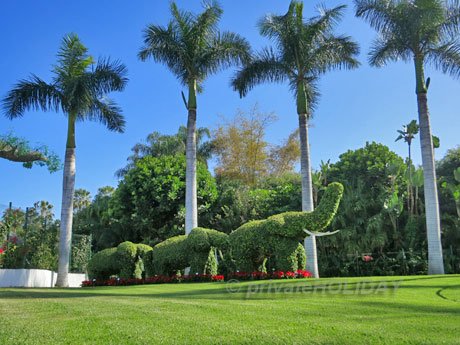 Loro Parque