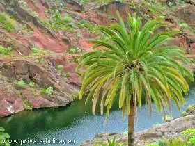 La Gomera - die zweitkleinste Insel auf den Kanaren