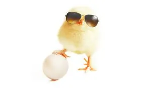 Freie Ferienwohnungen und Ferienhäuser über Ostern auf Teneriffa