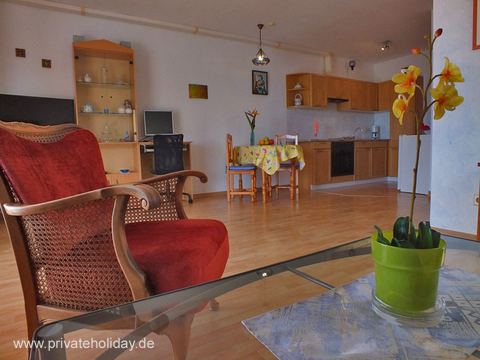 Living room with kitchen area and armchair – El Sauzal, Tenerife