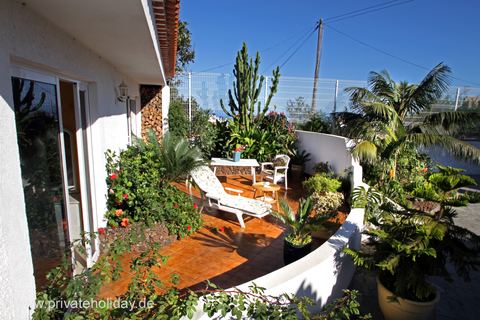 Terraza curva con tumbonas y vegetación densa – El Tanque, Tenerife