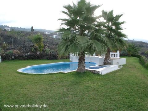 Pool mit Palmen und Rasenfläche – Chio, Teneriffa