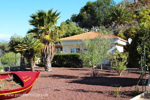 Außenansicht des Hauses mit Palmen und Garten – Chio, Teneriffa