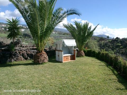 Garden with palm trees and beach chair – Chio, Tenerife