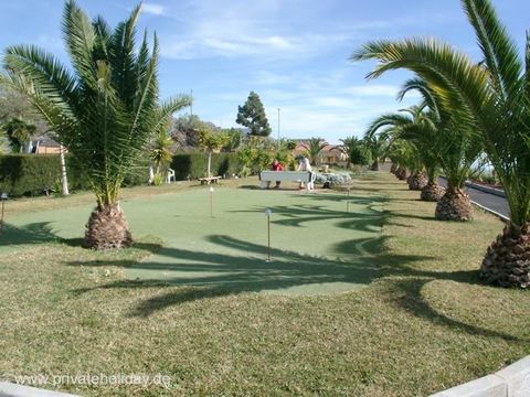 Well-kept lawn with palm trees and paths – Chio, Tenerife
