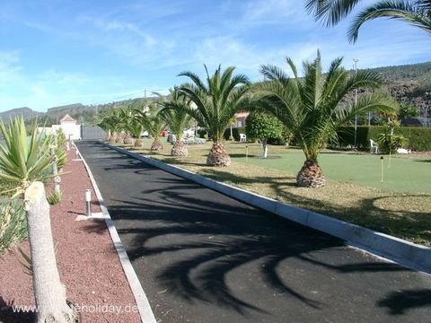 Driveway with palm trees and lawns – Chio, Tenerife
