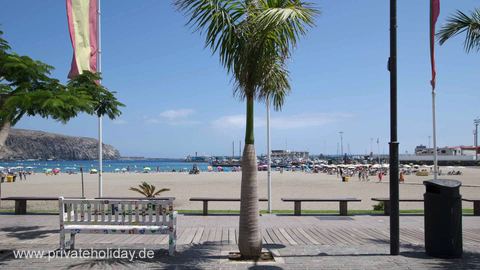Beach view with palm tree and benches – Chayofa, Tenerife