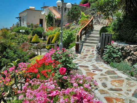 Garden path with flowerbeds and stone steps – Guía de Isora, Tenerife