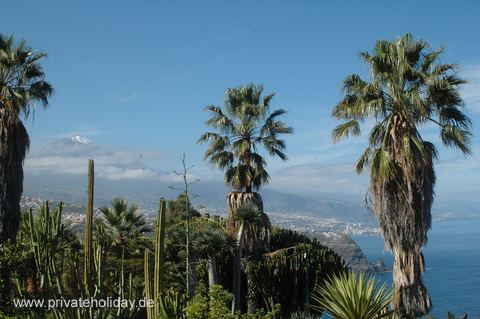 Ogród z palmami i widokiem na morze – La Matanza, Tenerife