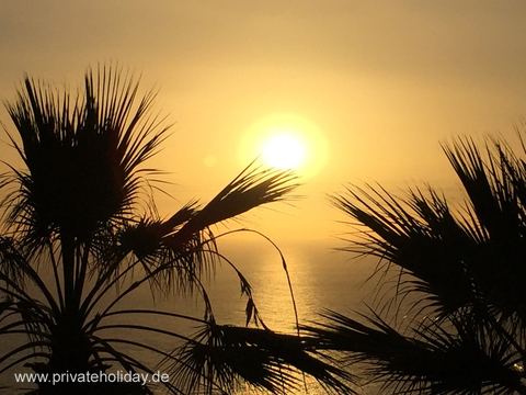 Zonsondergang boven zee met palmen in silhouet – La Matanza, Teneriffa