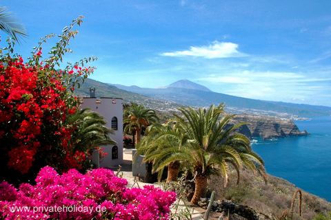 Terrasse mit Meerblick und Palmen – La Matanza, Teneriffa
