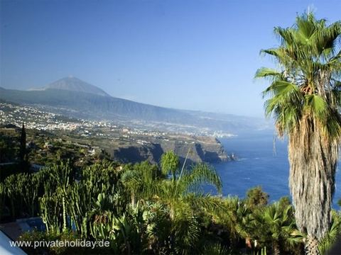 Sea view with palms and volcano – La Matanza, Tenerife