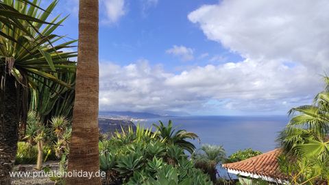 Jardín con palmeras y vistas al mar – La Matanza, Tenerife
