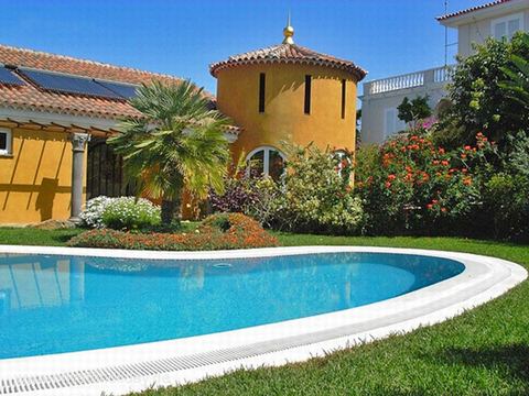 Pool mit Garten und Palmen – Tacoronte, Teneriffa