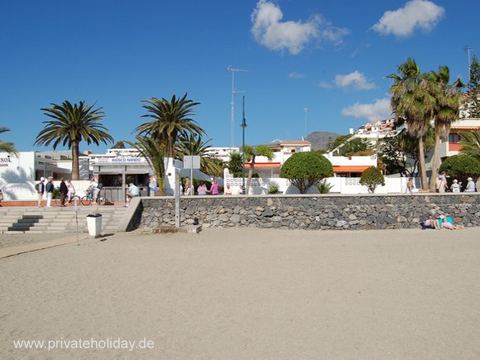 Sandy beach with palm trees and stone wall – Los Cristianos, Tenerife