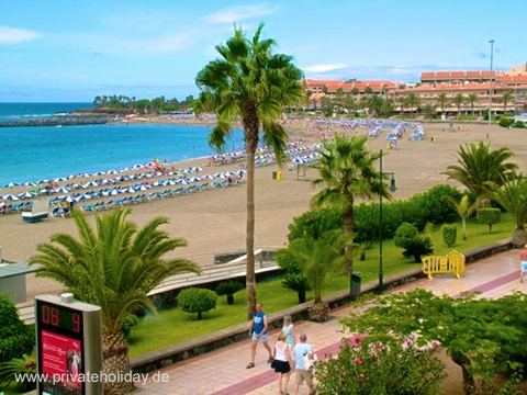 Strand mit Palmen und Meerblick – Los Cristianos, Teneriffa