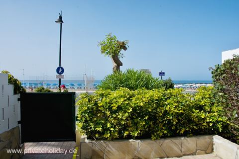 Terrasse mit Meerblick und Gartenbepflanzung – Los Cristianos, Teneriffa