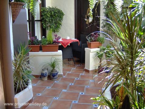 Patio met veel potplanten en zitplek – Icod de los Vinos, Teneriffa