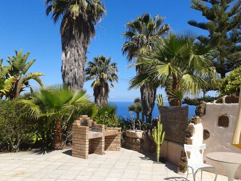 Terrace with palm trees and sea view – La Matanza, Tenerife