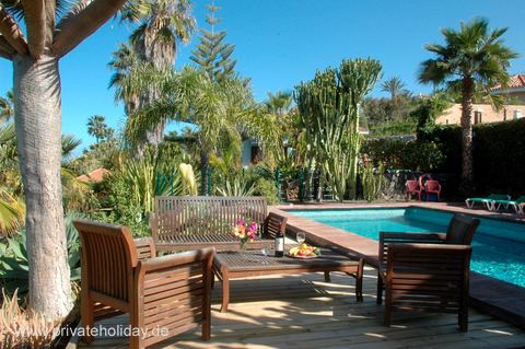 Terrasse mit Pool und Palmen – La Matanza, Teneriffa