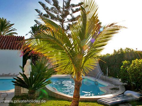Pool im Garten mit Palmen – Playa del Inglés, Gran Canaria