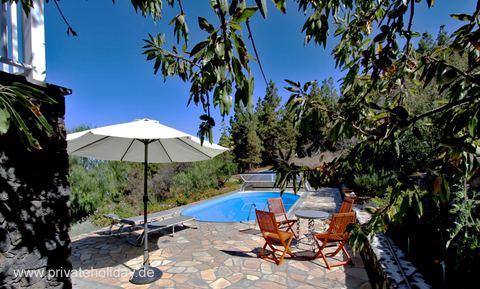Terrasse mit Pool, Sonnenschirm und Holzstühlen – Tijarafe, La Palma