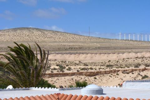 Azotea con vistas al mar y palmeras – Costa Calma, Fuerteventura