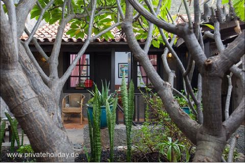 Courtyard with trees and seating area – Igueste de Candelaria, Tenerife