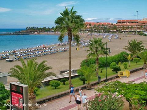 Strand mit Palmen und Meerblick – Los Cristianos, Teneriffa