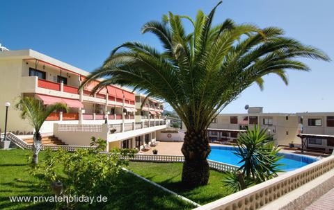 Außenanlage mit Pool und Palmen – Los Cristianos, Teneriffa