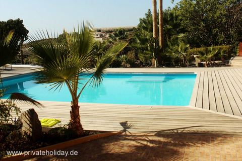 Shared pool with wooden deck and palms – Guía de Isora, Tenerife