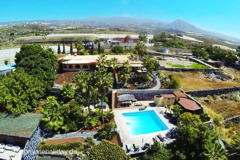 Luftaufnahme mit Pool und Palmen – Guía de Isora, Teneriffa