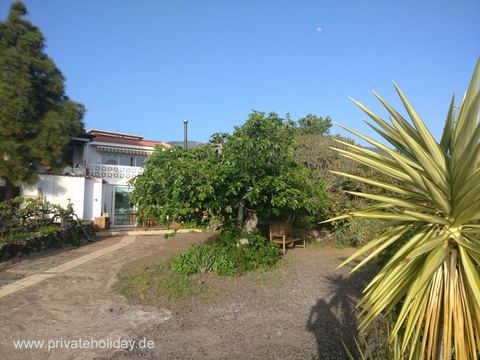 Garten mit Zufahrt und Palmen – Chio, Teneriffa