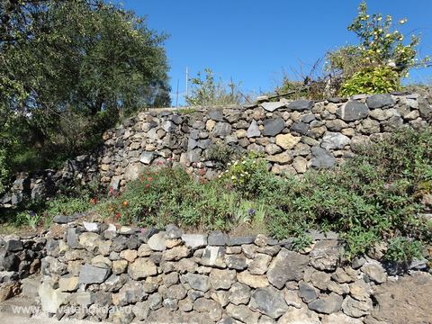 Stenen keermuur met beplante terrassen – Chio, Teneriffa