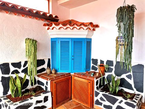 Patio z niebieskim oknem i skrzynkami na rośliny – El Tanque, Tenerife