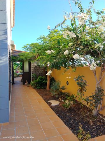 Side garden path with flowers and yellow wall – Candelaria, Tenerife