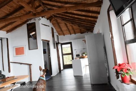 Salon z drewnianym sufitem i otwartą kuchnią – Icod de los Vinos, Tenerife