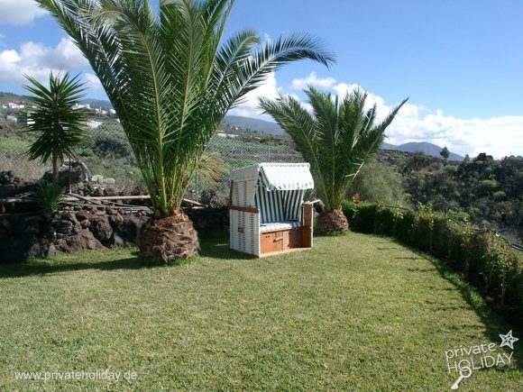 Jardin avec palmiers et fauteuil de plage – Chio, Ténérife