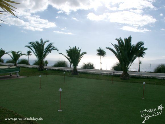 Prato con palme e vista mare – Chio, Tenerife