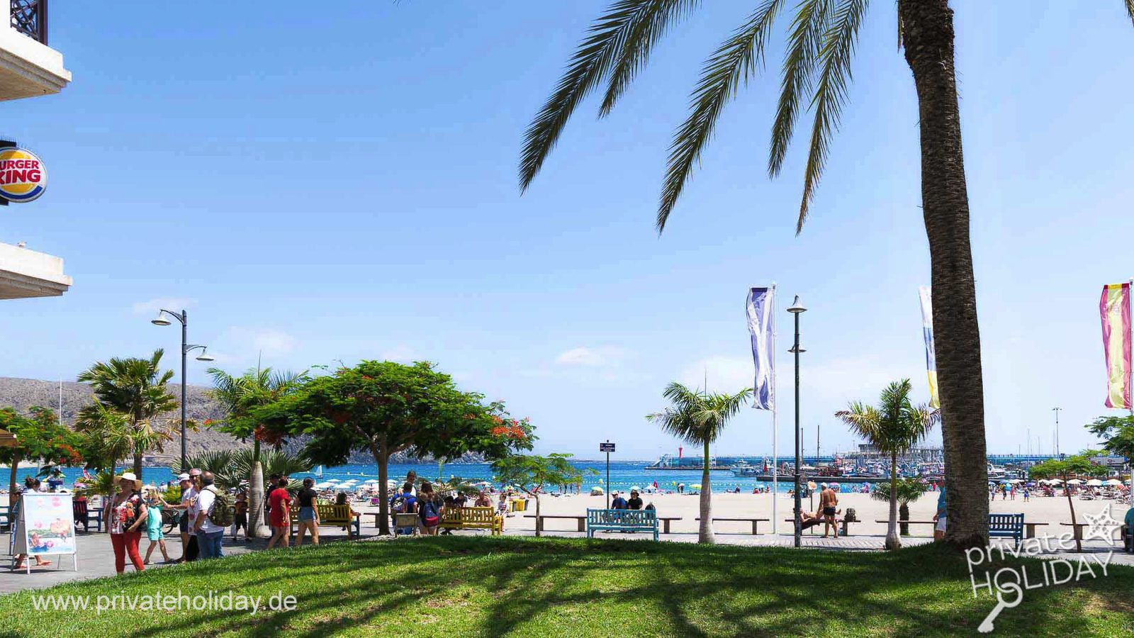 Promenade en bord de mer avec palmiers et vue mer – Chayofa, Ténérife