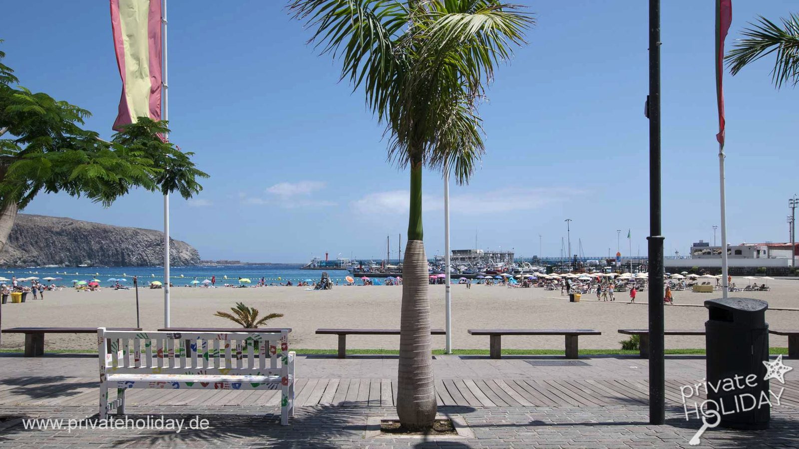Vue sur la plage avec palmier et bancs – Chayofa, Ténérife