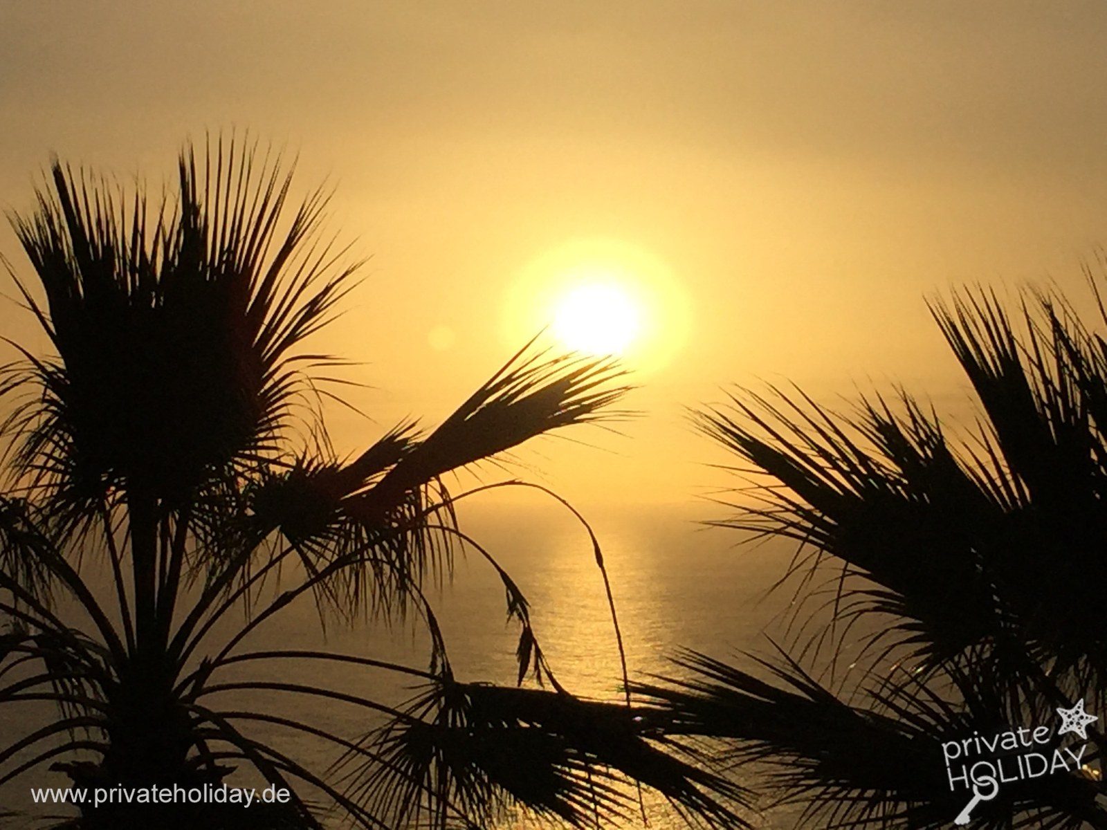 Sunset over the sea and palms – La Matanza, Tenerife