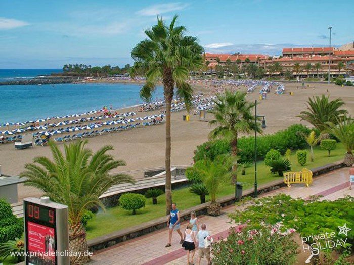 Promenade en bord de plage avec palmiers et transats – Los Cristianos, Ténérife