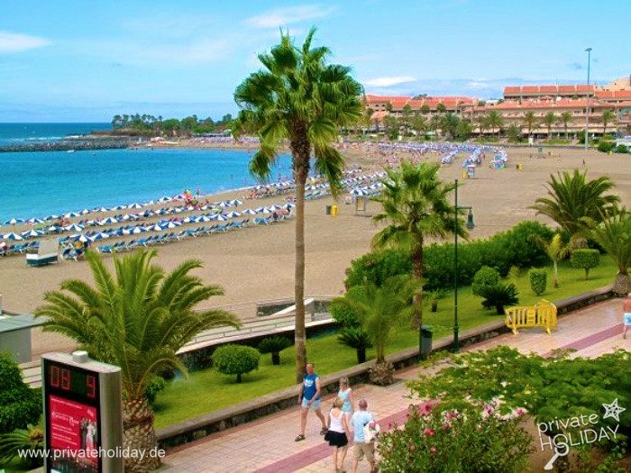 Beach with palm trees and sea view – Los Cristianos, Tenerife