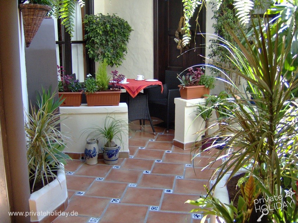 Patio avec nombreuses plantes en pot et coin assis – Icod de los Vinos, Ténérife