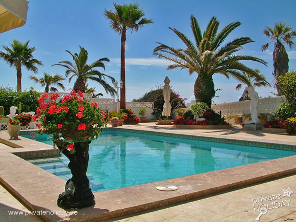 Pool area with palm trees and loungers – Poris de Abona, Tenerife