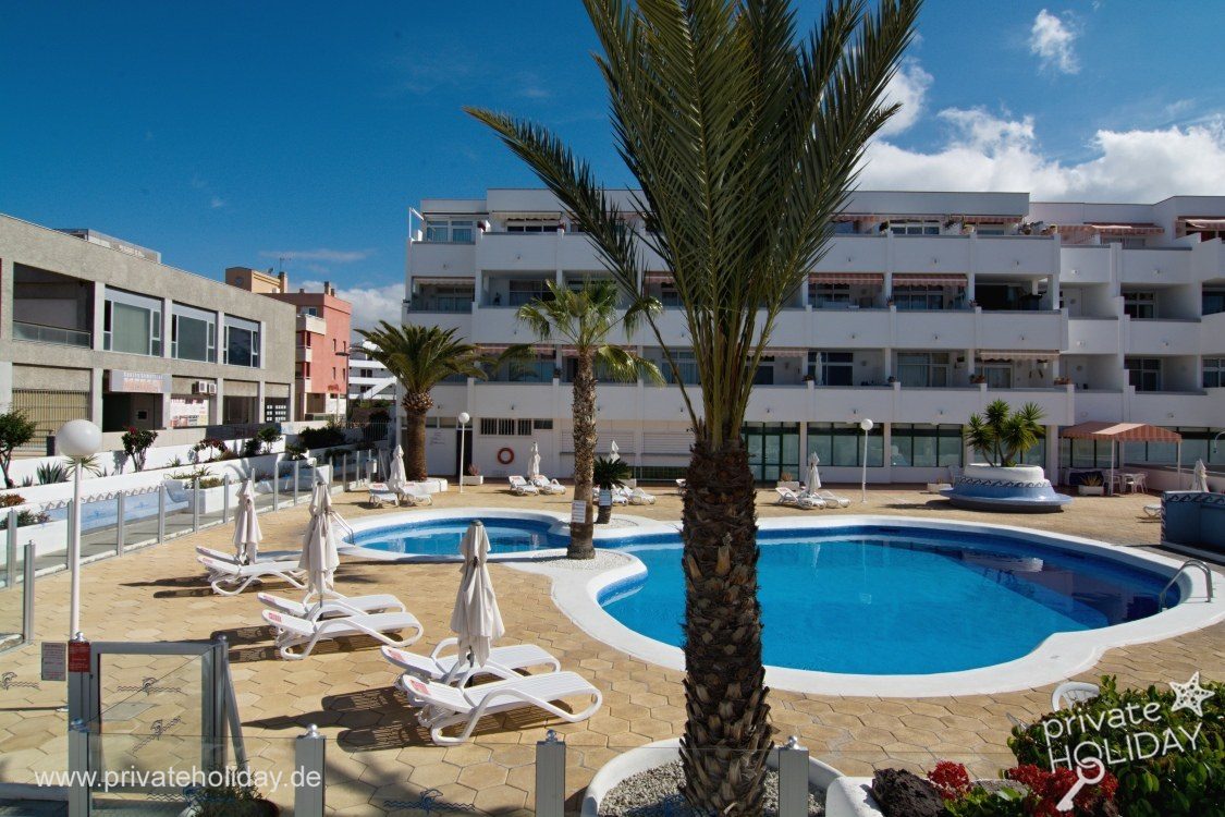 Area piscina con palma e lettini – Los Cristianos, Tenerife