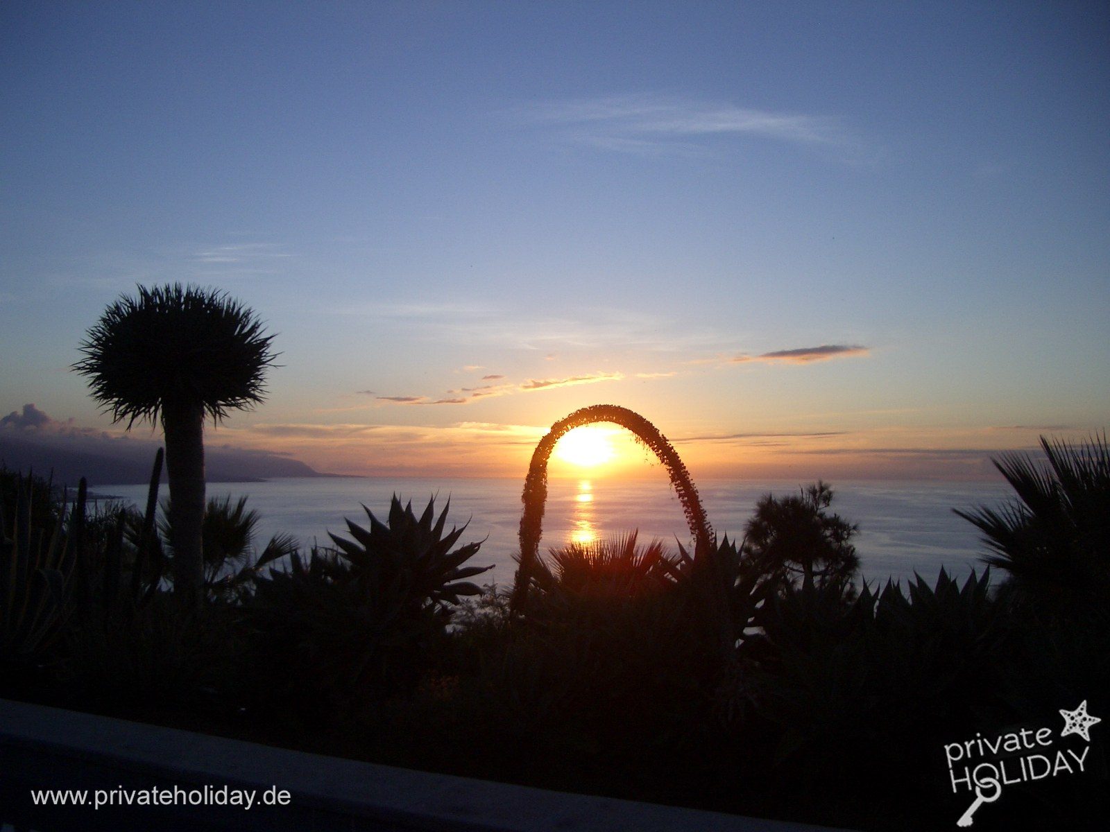 Widok na ogród o zachodzie słońca nad morzem – La Matanza, Tenerife