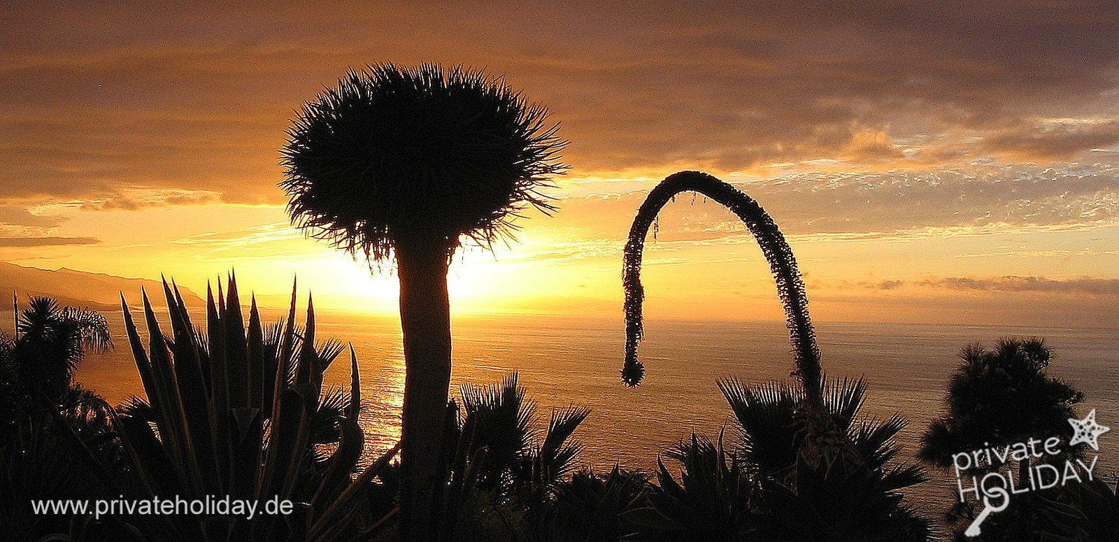 Coucher de soleil sur palmiers et mer – La Matanza, Ténérife